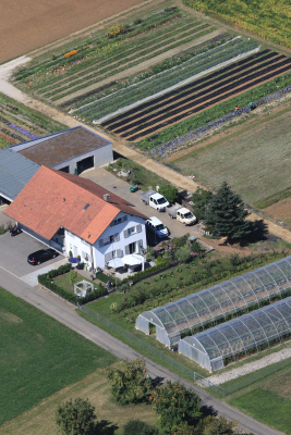 Garten- und Landschaftsunterhalt