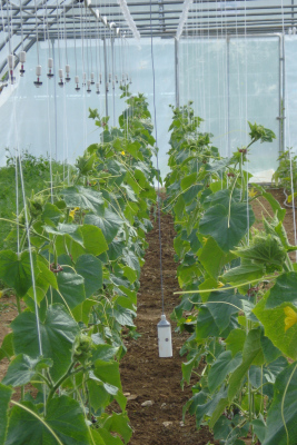 Garten- und Landschaftsunterhalt