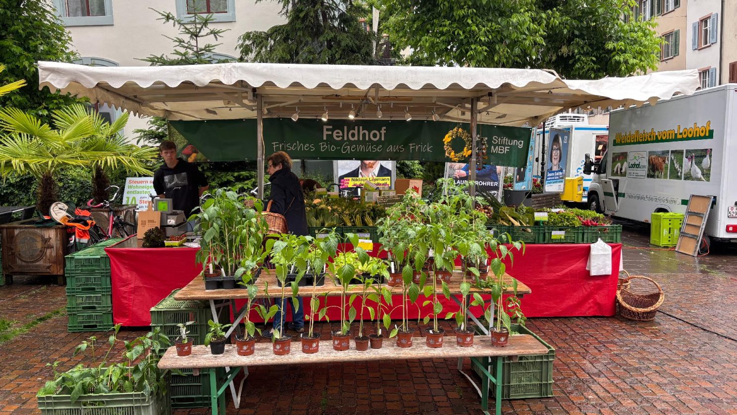 Feldhof-Marktstand mit frischem Bio-Gemüse der Stiftung MBF auf dem Wochenmarkt