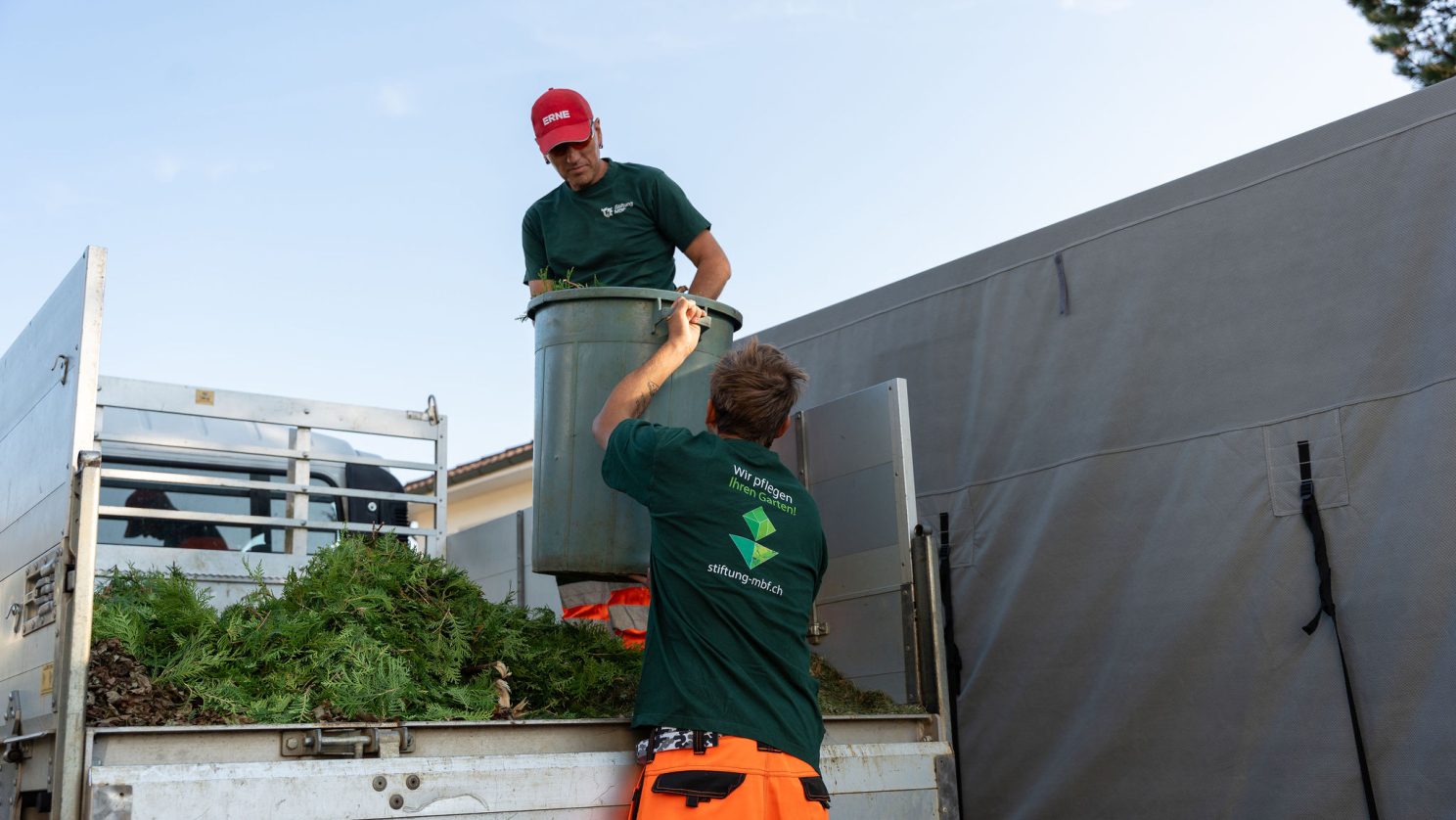 Zwei Mitarbeitende laden grüne Gartenabfälle auf einen Lastwagen; einer steht auf der Ladefläche, der andere reicht ihm einen Behälter hoch.