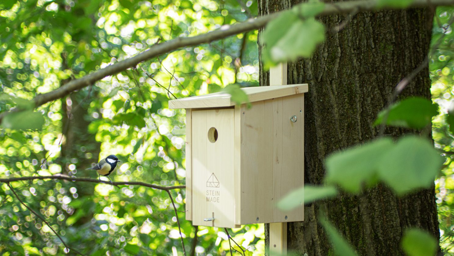 steinmade_vogelhaus_kontext_01